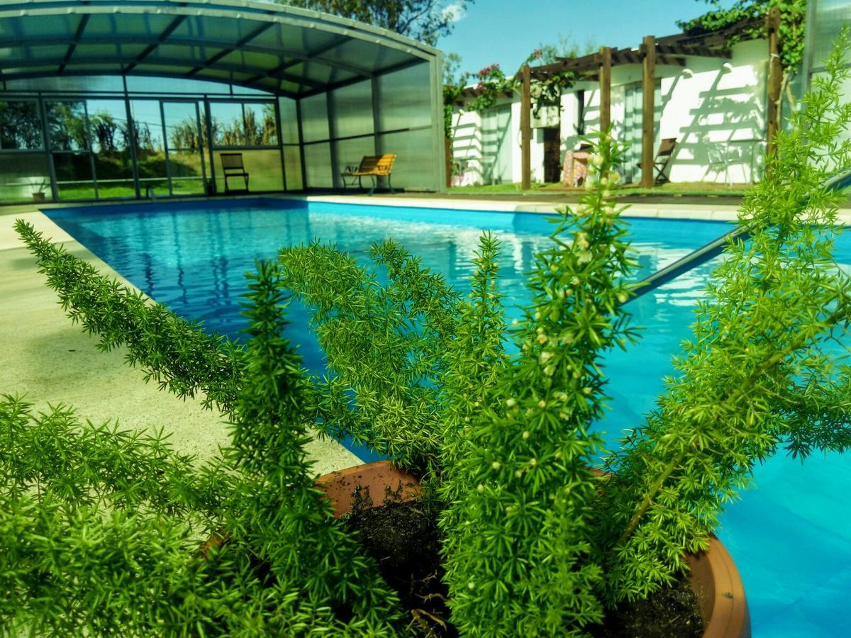 Complejo Juanjo Ramos Hotell Termas del Daymán Exteriör bild